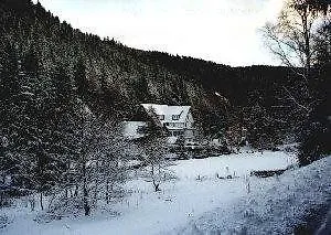 Zuschenwald